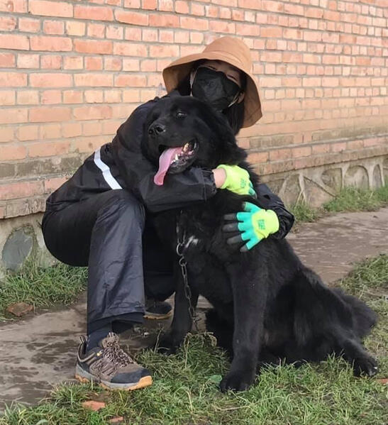 In these breeding farms, I learned about how Tibetan Mastiff enthusiasts not only use their dogs as status symbols and profit tools but also take intensive care of them. Guard dogs do not guard anymore, but have become objects of owners' guarding.